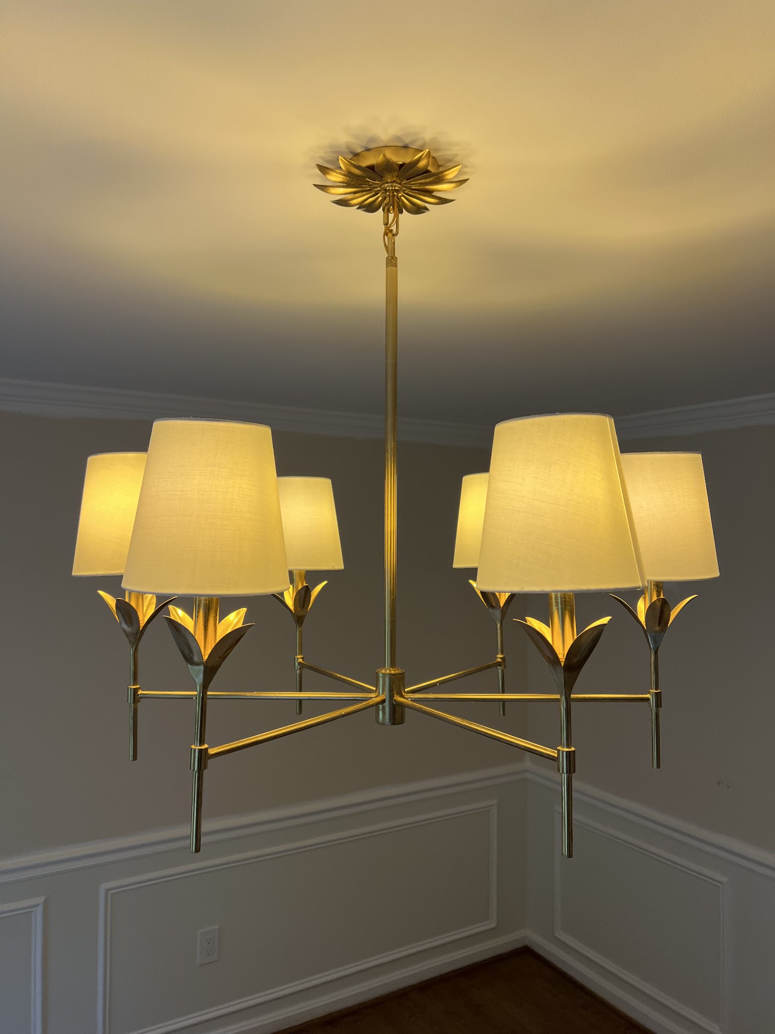 Finished dining room with brass chandelier and white wainscoting